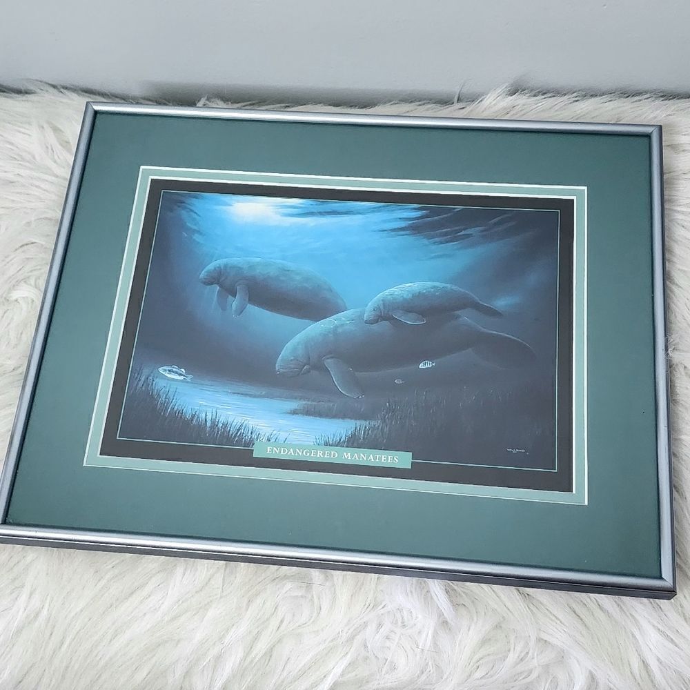 Robert Wyland print Endangered Manatees gallery framed